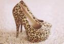 65706_fashion-heels-high-heels-leopard-shoes-Favim_com-406731.