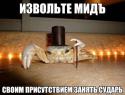 65712_gWTRnisMD9k.