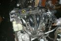 65784_13609358fitocenraparring16750694.