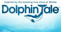 6588kinopoisk_ru-Dolphin-Tale-1560598.