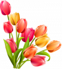6590_0_a5c0d_f8e24e74_XL.
