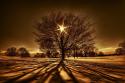 6599The_magic_of_Nature_large_pics__24.