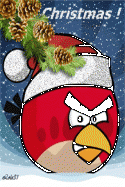 66085_1323505329_angry_xmas1.