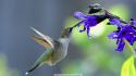 66085_Yandex-Images-2014-08-16.
