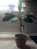 66120_Foto-0554.