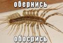 66201304010532707.