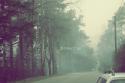 66265_breathe-car-smoke-trees-Favim_com-220315.