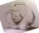 66265_slon.