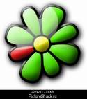 66271183669761_icq.