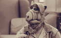 66400_alf1.