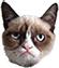 66590_cat.