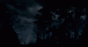 66638_creepy-forest-moon-night-Favim_com-232181.