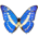 66668_Morpho-Cypres-icon.