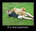 6690Humor_22.