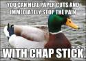 66925_actual-advice-mallard-3.