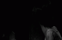 6700_tumblr_m2fz2diMo91r9f455o1_500.