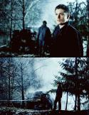 6700tumblr_l97pc5jK591qc7eglo1_500.