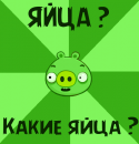 67340_kakie_yaica.