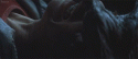 674_tumblr_m2mbf5saYT1qfpn1do1_500.