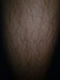 67545_31102012479.