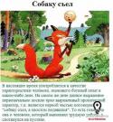 67549_sobaku_sel.