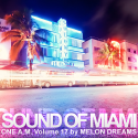67598_Sound_Of_Miami_-_One_A_M__Volume_17.