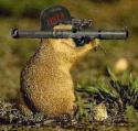 67612_200px-Squirrel_bazooka.