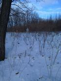 67805_foto0416.
