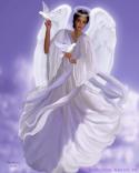 67840_angel_s_golubyami.