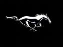 6784Mustang_Horse_Wallpaper__yvt2.