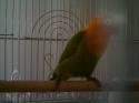 68054_IMAG0015.