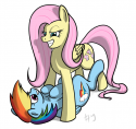 68103130_-_artist_sharpy_fluttershy_my_body_is_ready_rainbow_dash.