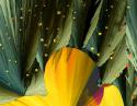 68211_small-world-micro-photographs-macro-20_27428_600x450.