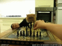 68269_chess.