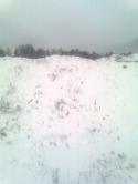 68283_Foto0699.