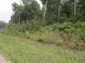 68347_2012-07-08-991.