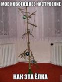 68499_normElka.