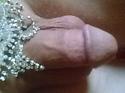 6854Foto0443.