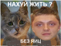 68554_art2.