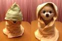68774_1334927674_1334859955_funny_animals_cm_20120419_00716_003.