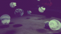 68845221683_0_0_3620121_53434_5300942_tumblr_lowosciWfS1qaazmyo1_500_tlog.
