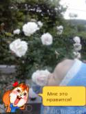 69082_TMPDOODLE1445550077490.
