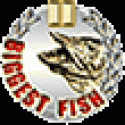 6911Bigfish2.