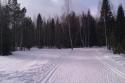 69136_IMAG0560.