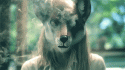 69154_gif-animated-gif-smoking-wolf-mask-Favim_com-510213.