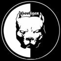 6930_Hooligan_Pit_Bull.