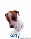 69313_httpnadpis_com__uasorry-s-sobakoj.