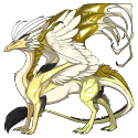 69335_skydancer_m_dragon.