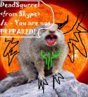 6946large_killer_squirrel.
