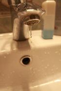 6955IMG_3792.
